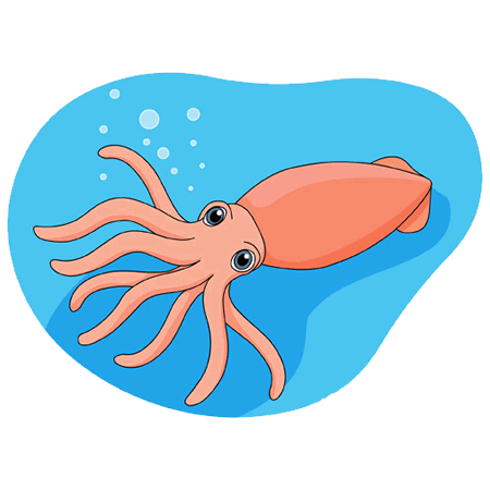 class descriptions squids advanced beginner rollover crawl